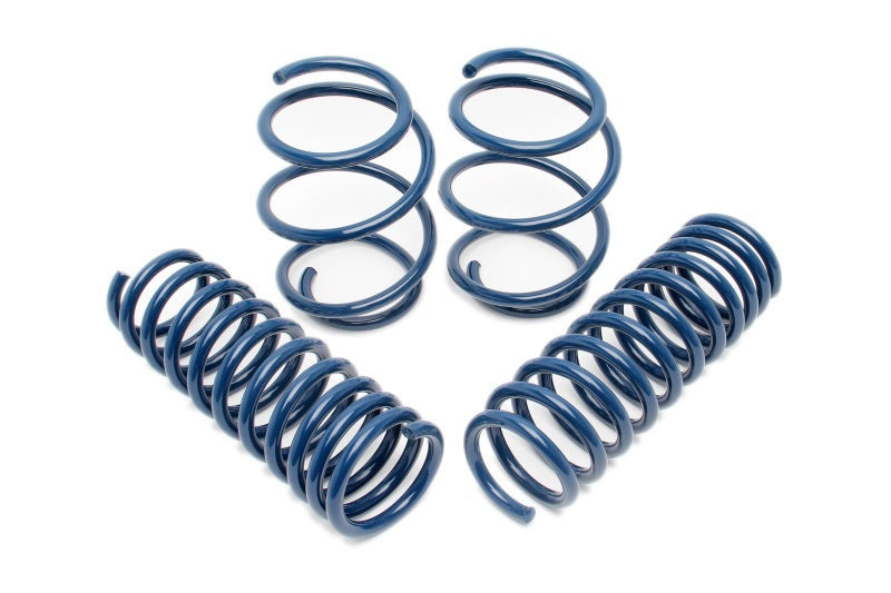 Dinan 06-10 BMW M5 E60 Performance Spring Set