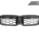 AutoTecknic Dry Carbon Fiber Honeycomb Front Grille - BMW G20 3-Series LCI