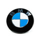 IND Painted BMW Roundel - BMW E70 X5M