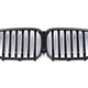 Genuine BMW Shadowline Front Grille - G05 X5 LCI