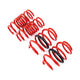 AST Lowering Springs - BMW F97 X3M / F98 X4M