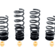 AST Adjustable Lowering Springs - BMW F95 X5M / F96 X6M / G05 X5 / G06 X6