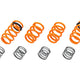 AST Adjustable Lowering Springs - BMW G90 / G99 M5