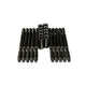 Wagner Tuning OEM Head Stud Set Burnished - Audi RS6 C5