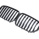 Genuine BMW M Performance Carbon Front Grille - G05 X5 Pre-LCI