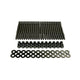Wagner Tuning OEM Head Stud Set Burnished - Lamborghini Huracan 5.2