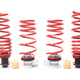 H&R VTF Adjustable Lowering Spring Kit - BMW F82 M4 Coupe 2015-2019 (23003-1)