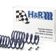 H&R Sport Spring - BMW F16 X6 xDrive35i 2014-2019 (28817-1)