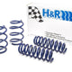 H&R Sport Spring - F30 335I Sedan 2012-15 (28878-2)