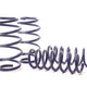H&R Sport Spring - BMW G01 X3 M40i 2018-2019 (28926-1)