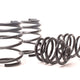 H&R Sport Spring - BMW M85 Z4 M Coupe/ Z4 M Roadster 2006-2008 (29119-1)
