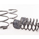 H&R Sport Spring - E60 525XI SEDAN/ 530XI SEDAN/ 535XI SEDAN 2004-10 (29146-1)