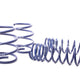 H&R Sport Spring - E60 528I/ 535I 2008-10 (29255-1)