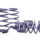 H&R Sport Spring - BMW E53 X5 2000-2006 (29378-2)