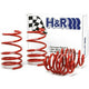 H&R Race Spring Kit - E36 325I/ 325IS/ 328I/ 328IS 1992-98 (50424-88)