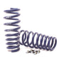 H&R Sport Spring - BMW E71 X6 2007-2014 (50435-2)