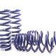 H&R Sport Spring - BMW E70 X5 2007-2013 (50435-3)
