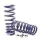 H&R Sport Spring - BMW E71 X6 2007-2014 (50435-4)