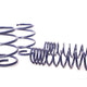 H&R Race Spring Kit - E39 540I 1996-03 (50464-88)