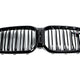 Genuine BMW M Performance Front Grille - G01 X3 | G02 X4 LCI